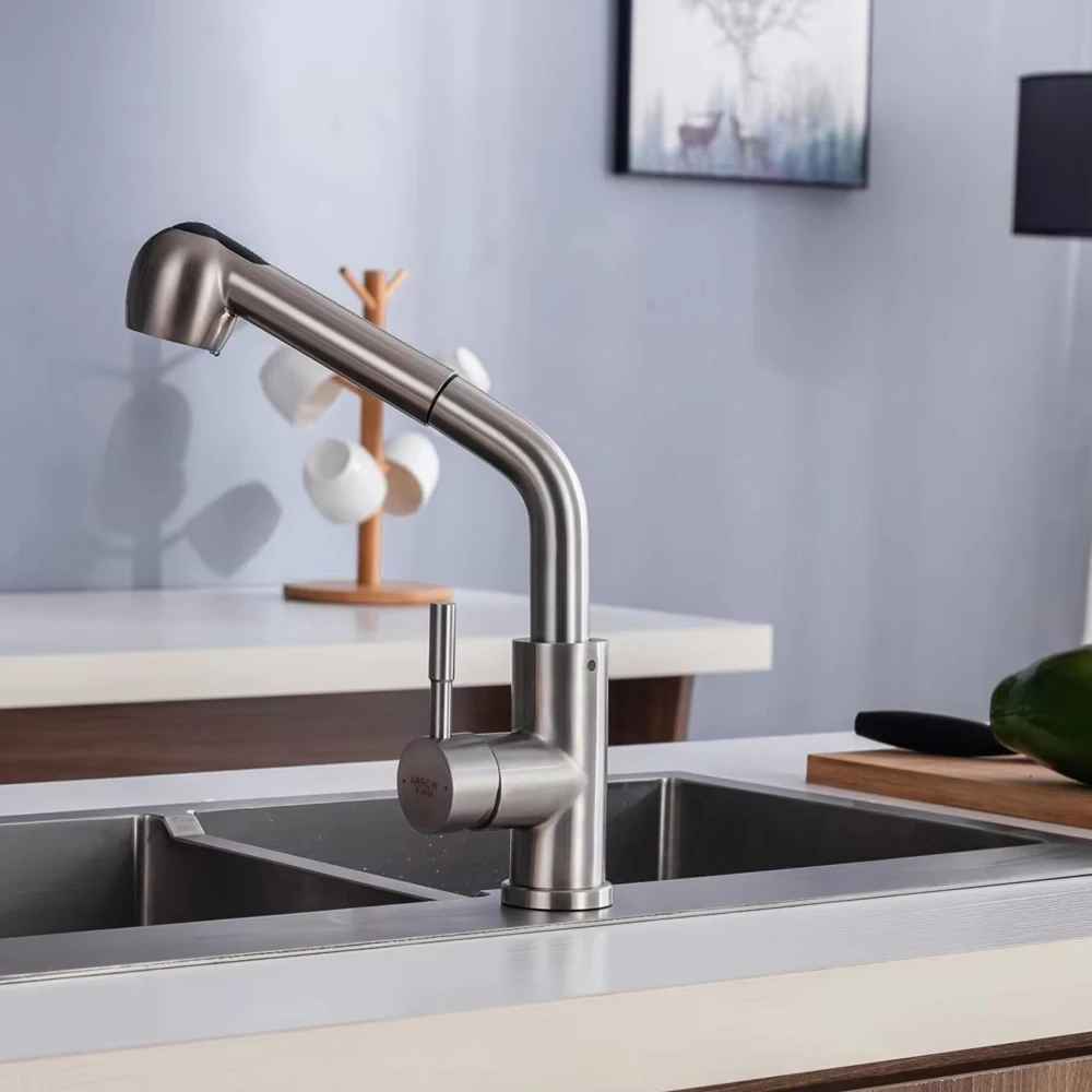 Robinet cuisine douchette-Hérèbe