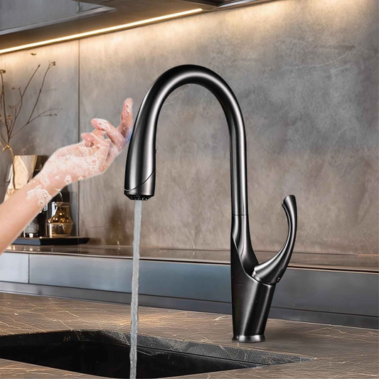 Mitigeur cuisine-Diane