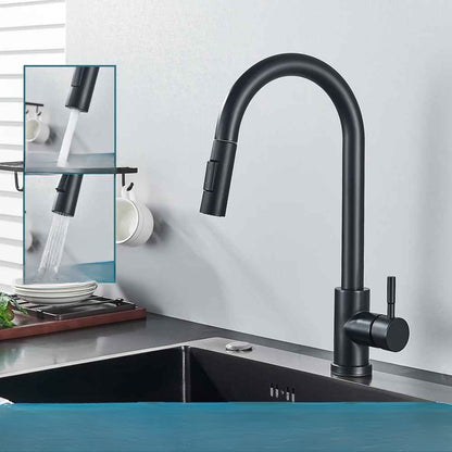 Mitigeur cuisine-Selénné