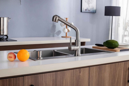 Robinet cuisine douchette-Hérèbe