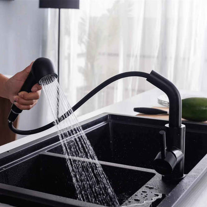 Robinet cuisine douchette-Hérèbe